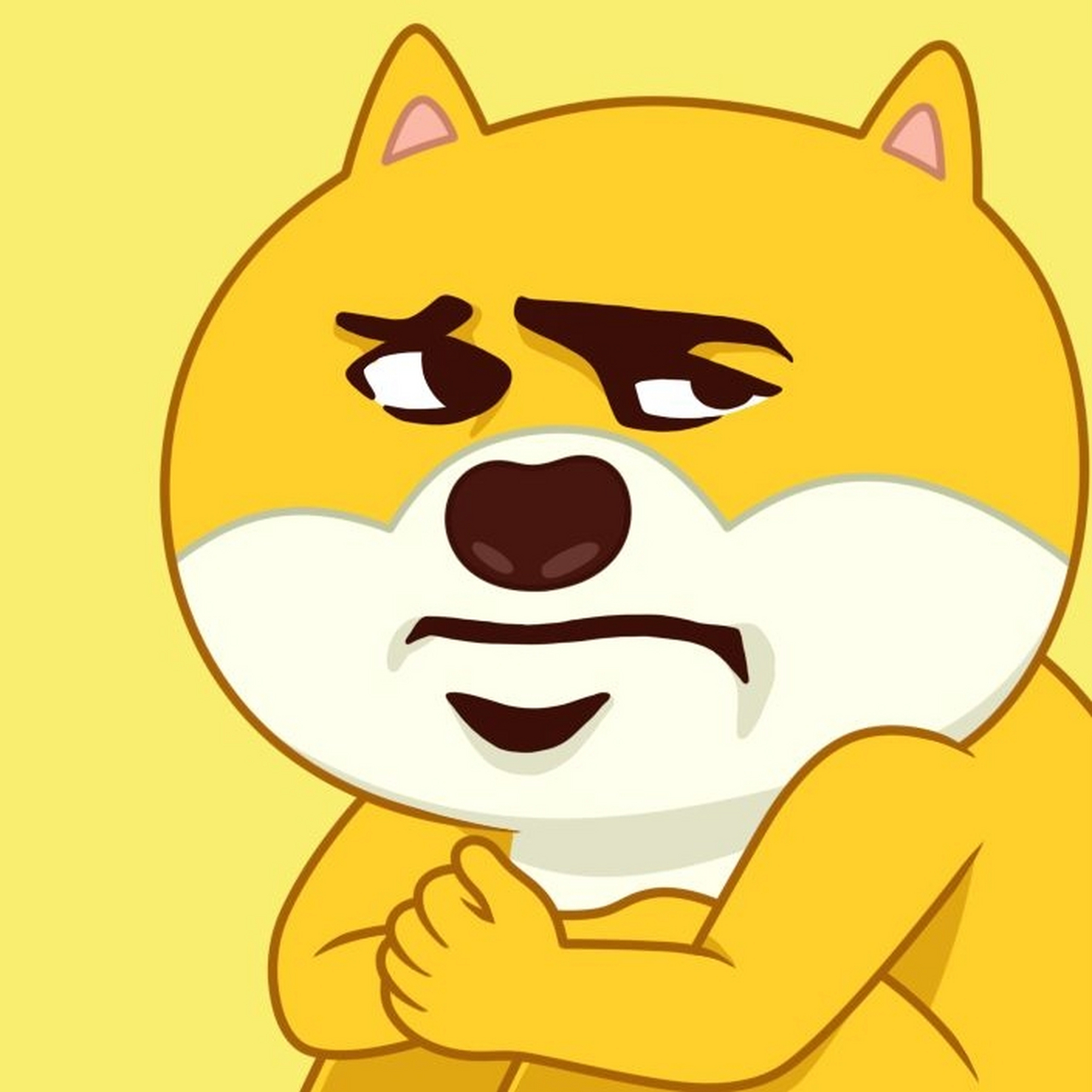 不找了小迷弟